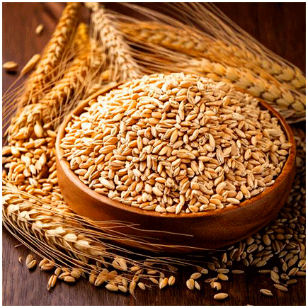 Barley Malt flavour